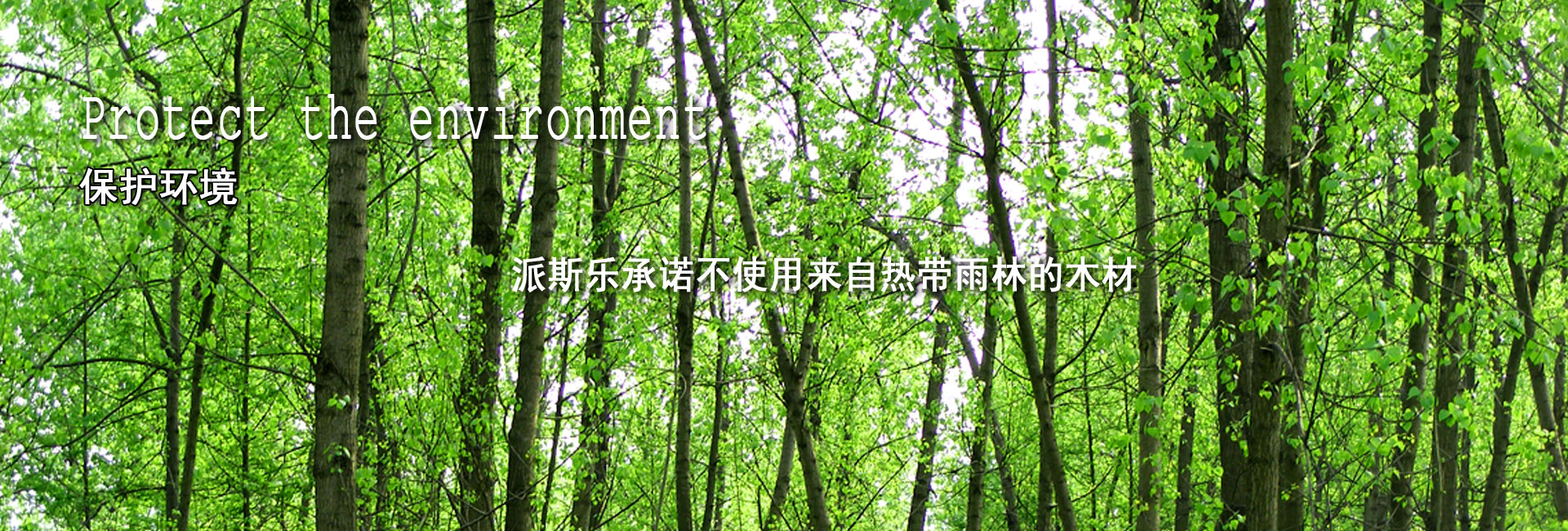 社会责任01.jpg